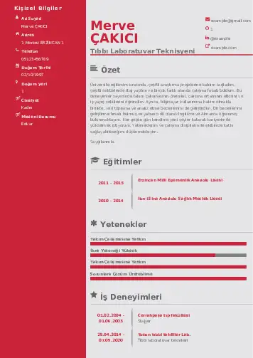 Laboratuvar Teknisyeni Cv Örnekleri cv indir